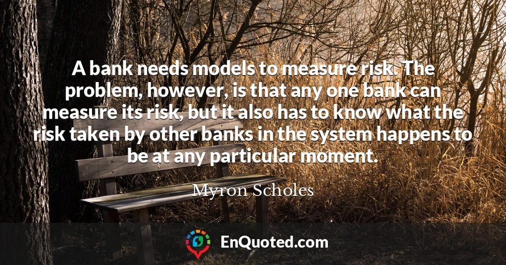 A bank needs models to measure risk. The problem, however, is that any one bank can measure its risk, but it also has to know what the risk taken by other banks in the system happens to be at any particular moment.