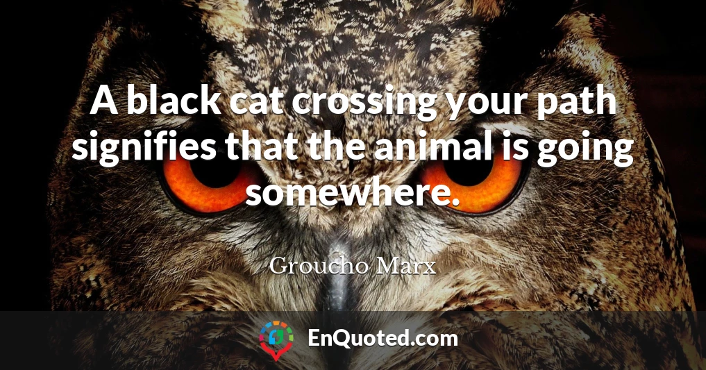 A black cat crossing your path signifies that the animal is going somewhere.