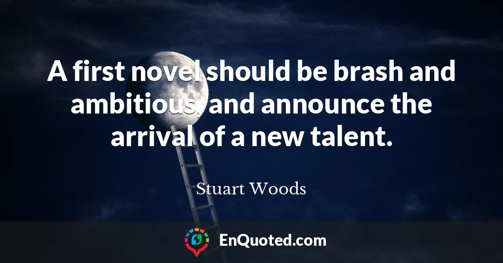 A first novel should be brash and ambitious, and announce the arrival of a new talent.