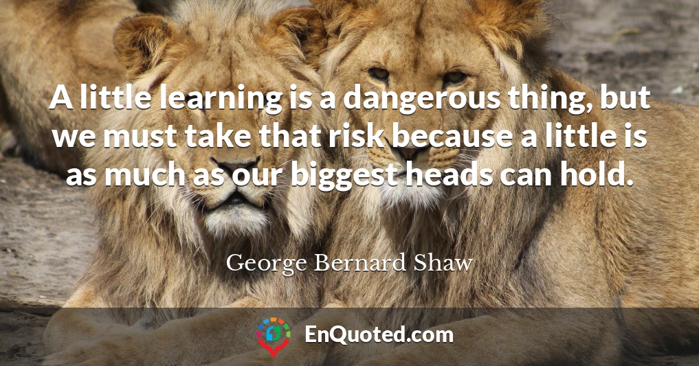 A little learning is a dangerous thing, but we must take that risk because a little is as much as our biggest heads can hold.