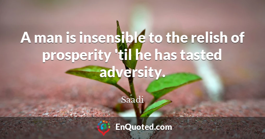 A man is insensible to the relish of prosperity 'til he has tasted adversity.