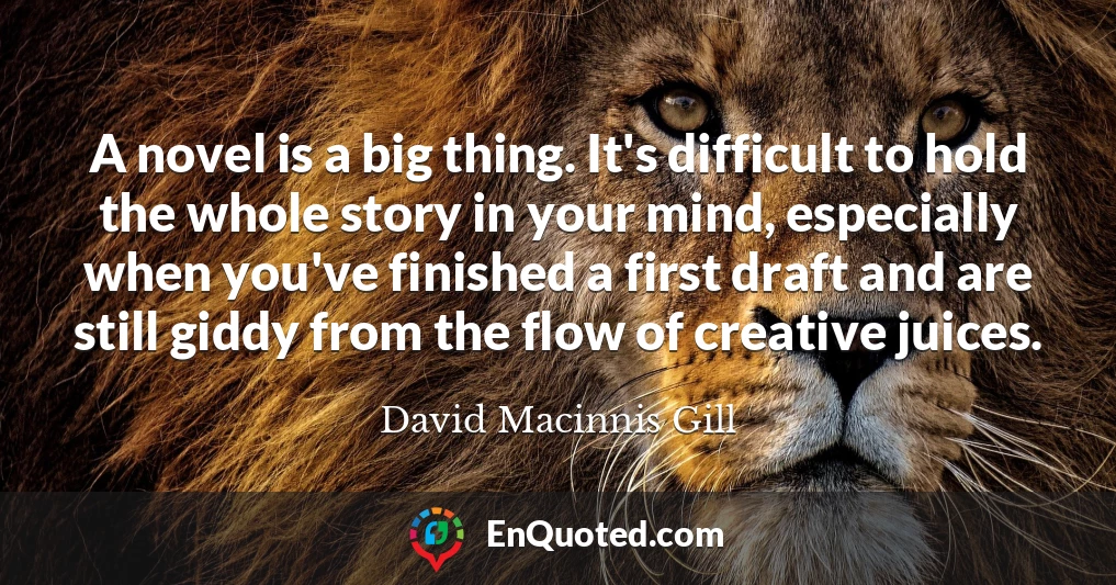 A novel is a big thing. It's difficult to hold the whole story in your mind, especially when you've finished a first draft and are still giddy from the flow of creative juices.