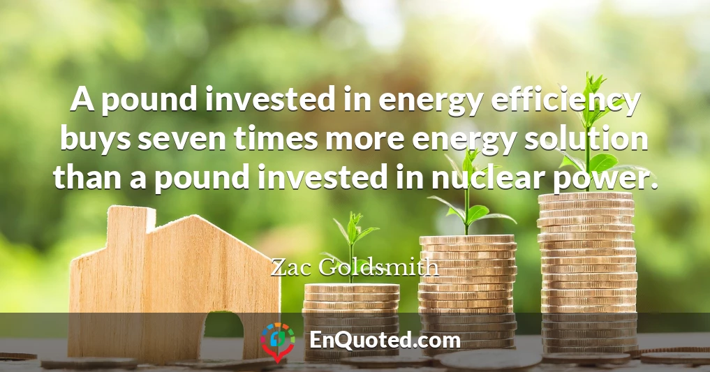 A pound invested in energy efficiency buys seven times more energy solution than a pound invested in nuclear power.