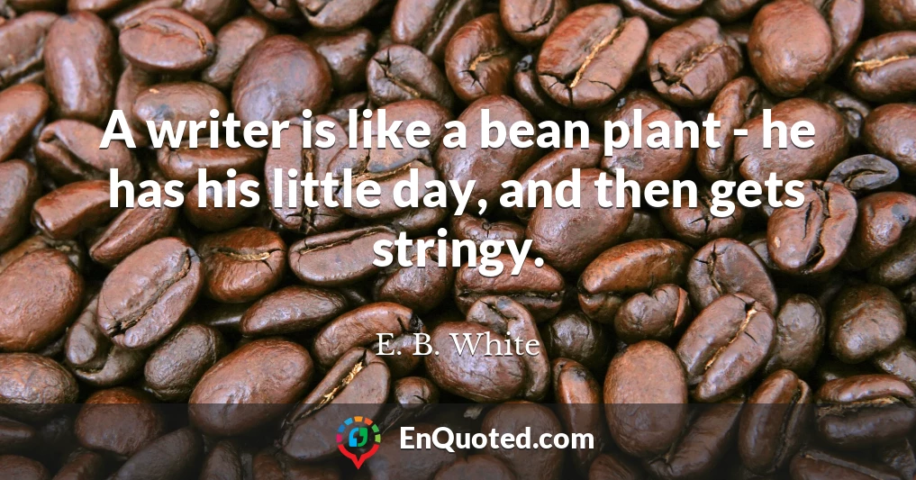 A writer is like a bean plant - he has his little day, and then gets stringy.