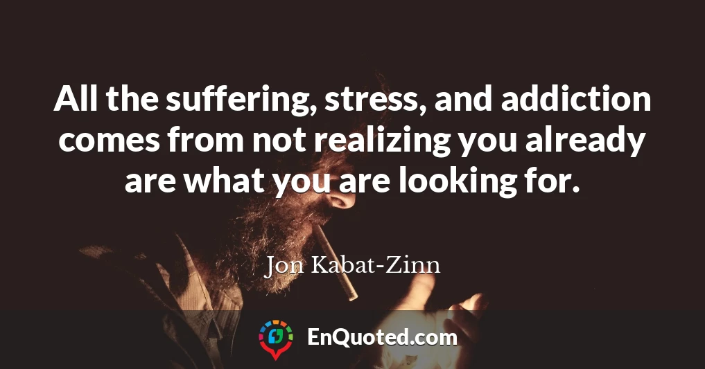 All the suffering, stress, and addiction comes from not realizing you already are what you are looking for.