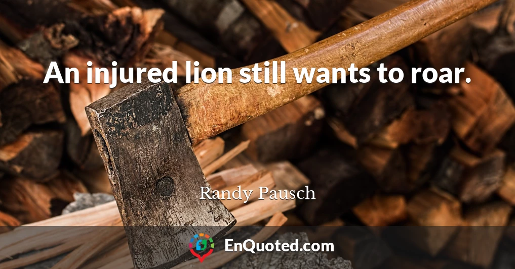 An injured lion still wants to roar.