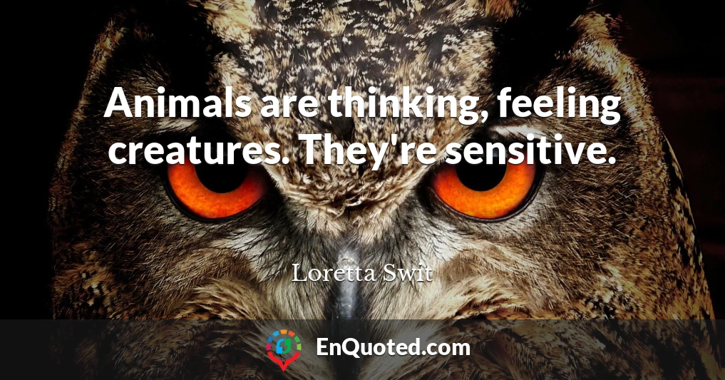 Animals are thinking, feeling creatures. They're sensitive.