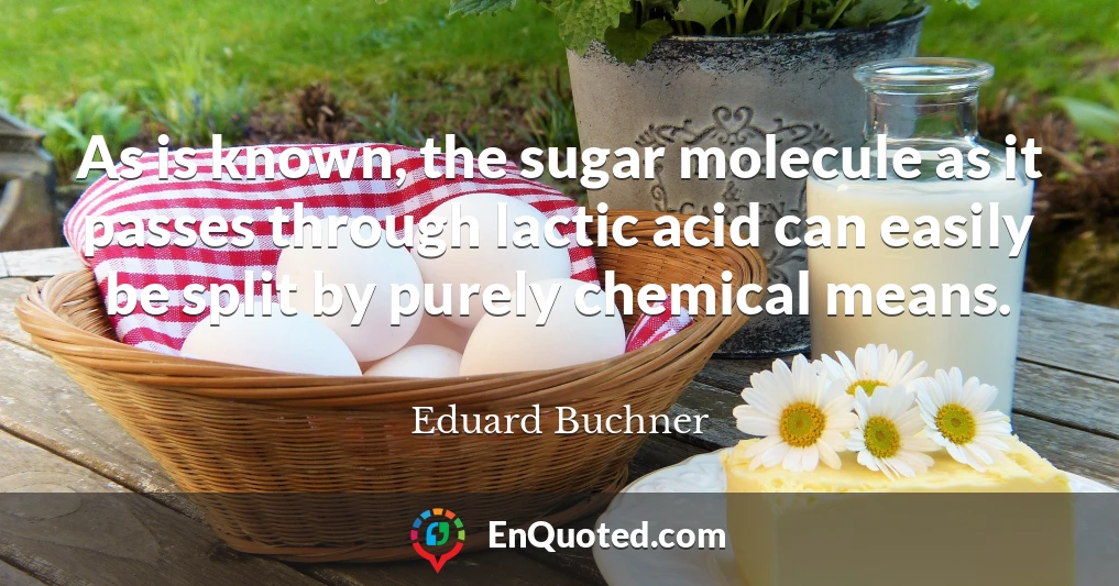 As is known, the sugar molecule as it passes through lactic acid can easily be split by purely chemical means.