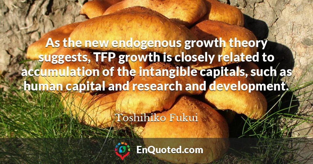 As the new endogenous growth theory suggests, TFP growth is closely related to accumulation of the intangible capitals, such as human capital and research and development.