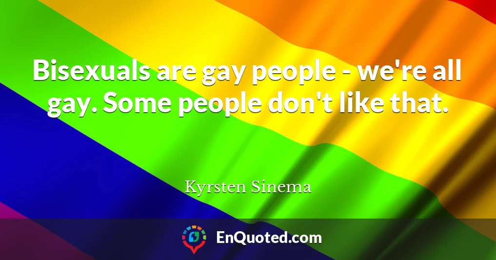 Bisexuals are gay people - we're all gay. Some people don't like that.