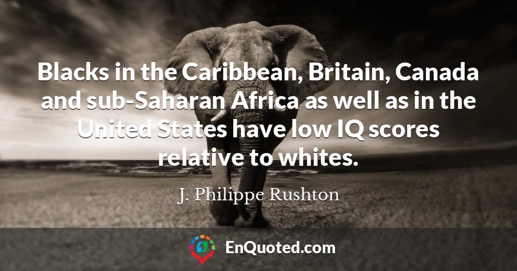 Blacks in the Caribbean, Britain, Canada and sub-Saharan Africa as well as in the United States have low IQ scores relative to whites.