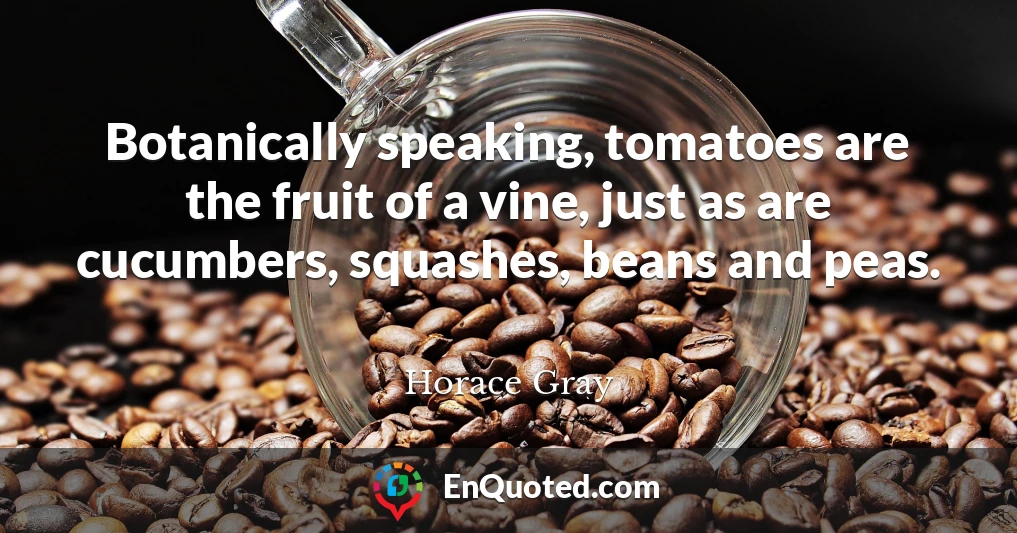 Botanically speaking, tomatoes are the fruit of a vine, just as are cucumbers, squashes, beans and peas.