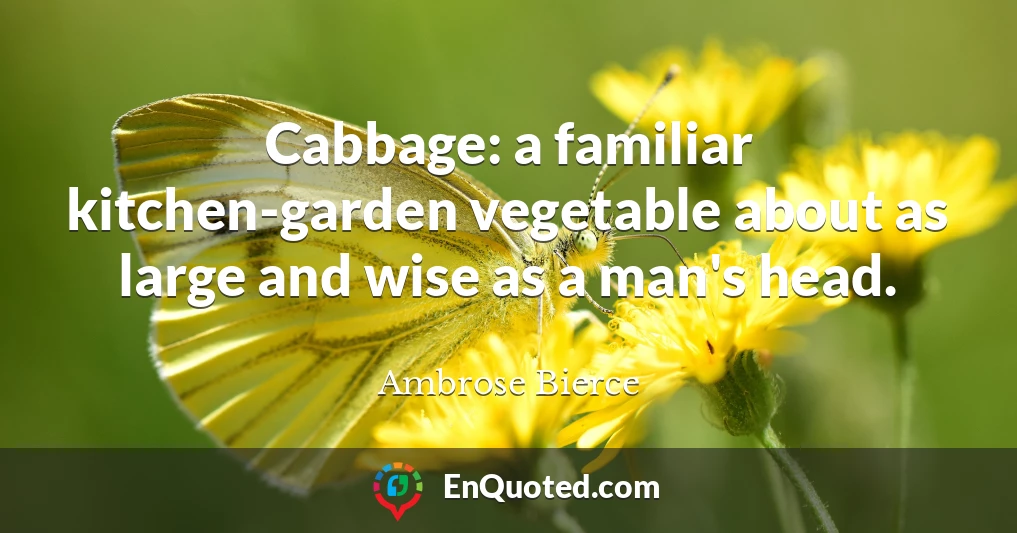 Cabbage: a familiar kitchen-garden vegetable about as large and wise as a man's head.