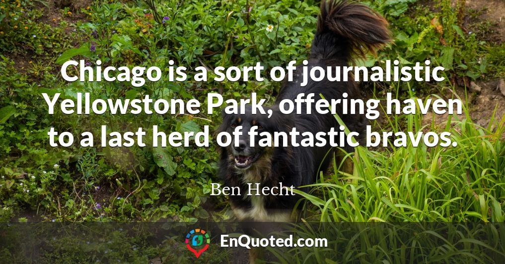 Chicago is a sort of journalistic Yellowstone Park, offering haven to a last herd of fantastic bravos.