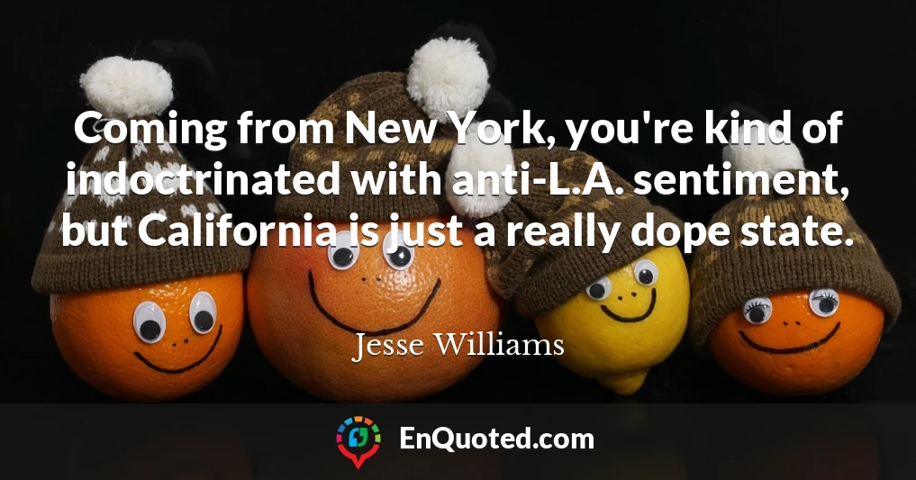 Coming from New York, you're kind of indoctrinated with anti-L.A. sentiment, but California is just a really dope state.