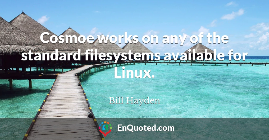 Cosmoe works on any of the standard filesystems available for Linux.