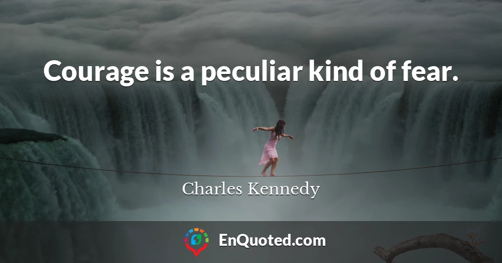 Courage is a peculiar kind of fear.