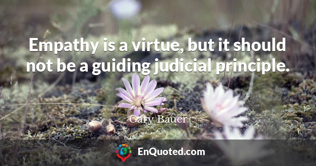 Empathy is a virtue, but it should not be a guiding judicial principle.
