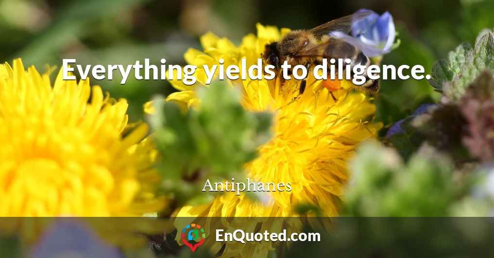 Everything yields to diligence.