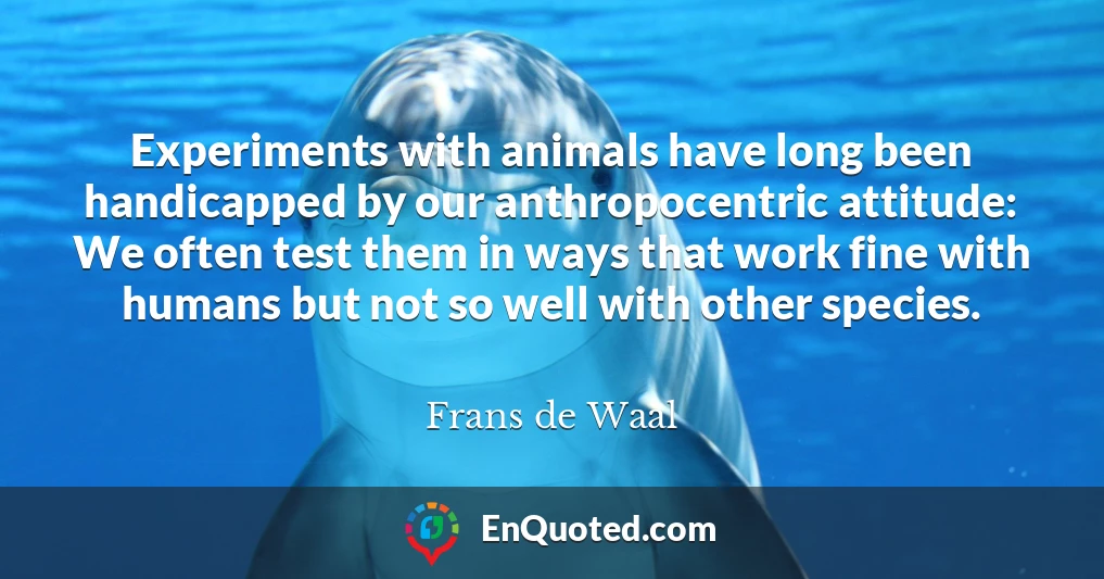 Experiments with animals have long been handicapped by our anthropocentric attitude: We often test them in ways that work fine with humans but not so well with other species. Experiments with animals have long been handicapped by our anthropocentric attitude: We often test them in ways that work fine with humans but not so well with other species.