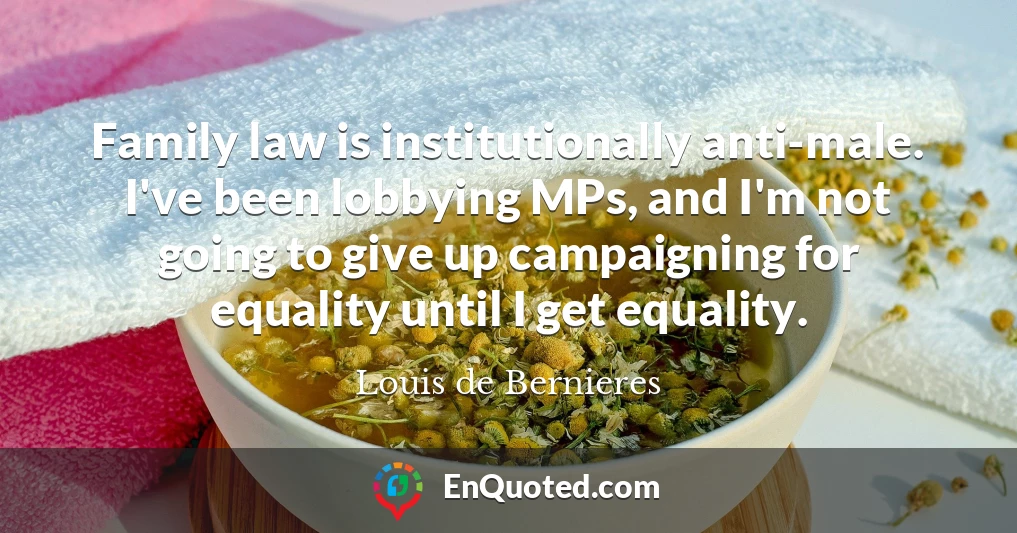 Family law is institutionally anti-male. I've been lobbying MPs, and I'm not going to give up campaigning for equality until I get equality.