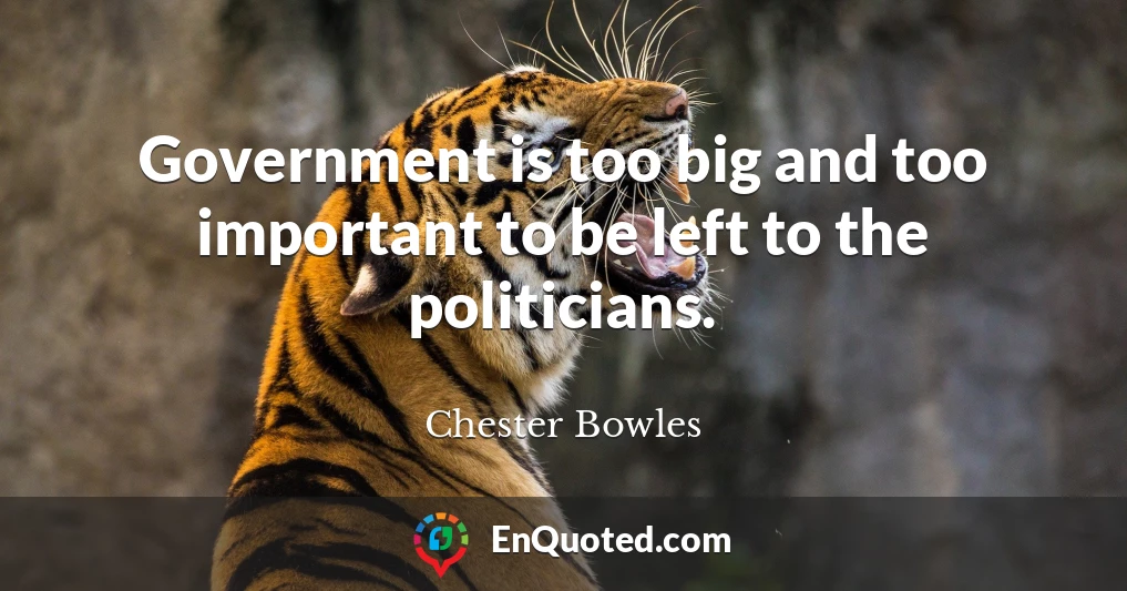 Government is too big and too important to be left to the politicians.