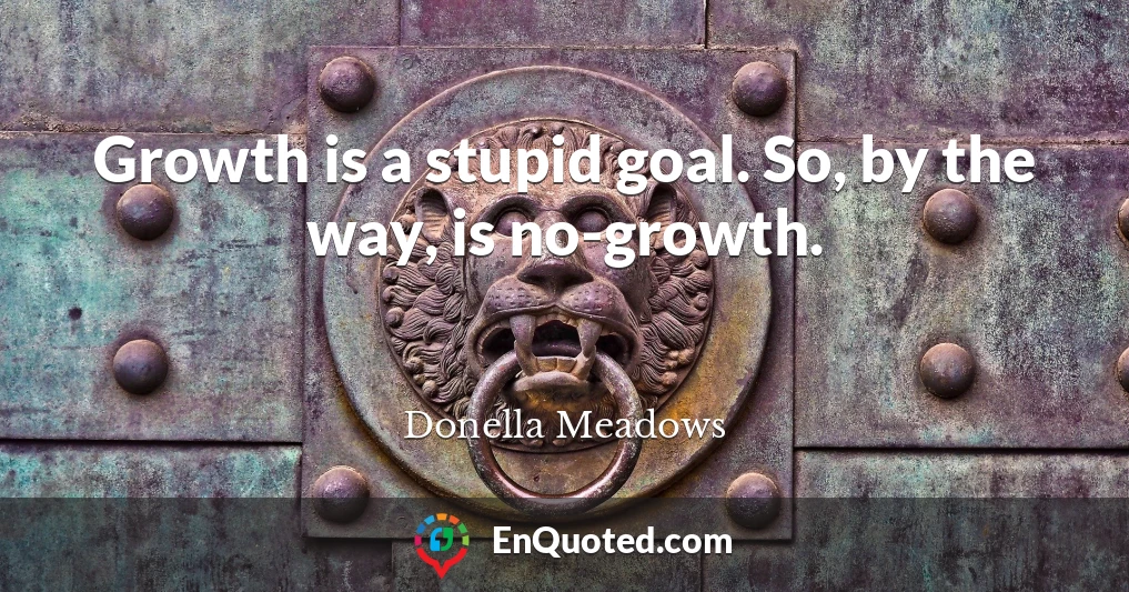 Growth is a stupid goal. So, by the way, is no-growth.