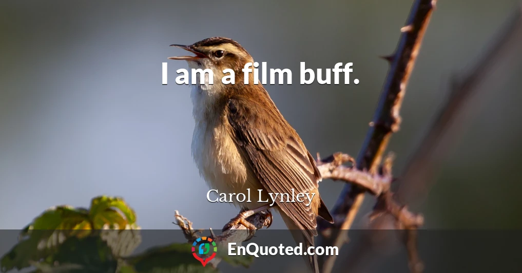 I am a film buff.