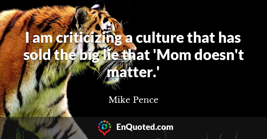 I am criticizing a culture that has sold the big lie that 'Mom doesn't matter.'