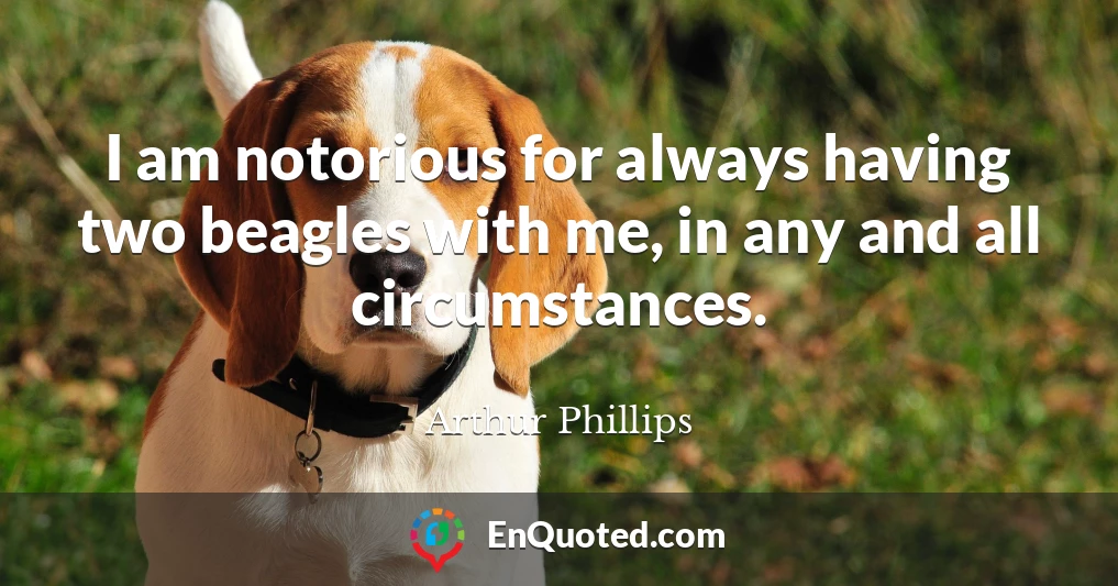 I am notorious for always having two beagles with me, in any and all circumstances.