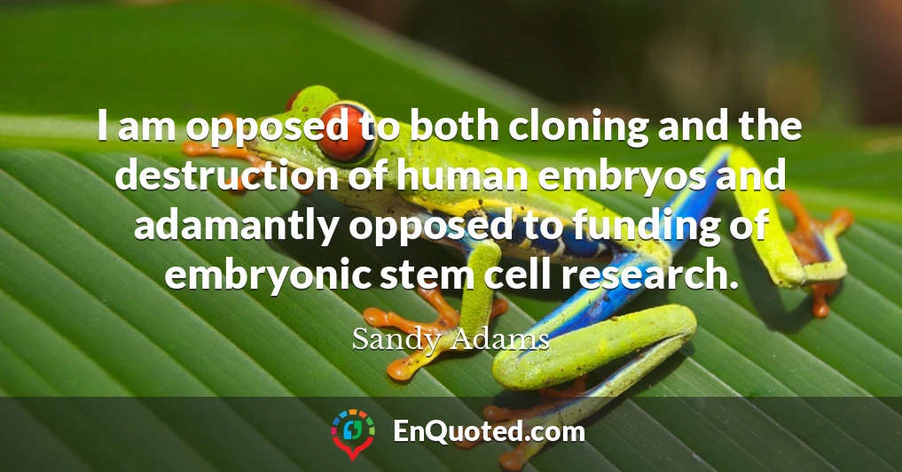 I am opposed to both cloning and the destruction of human embryos and adamantly opposed to funding of embryonic stem cell research.