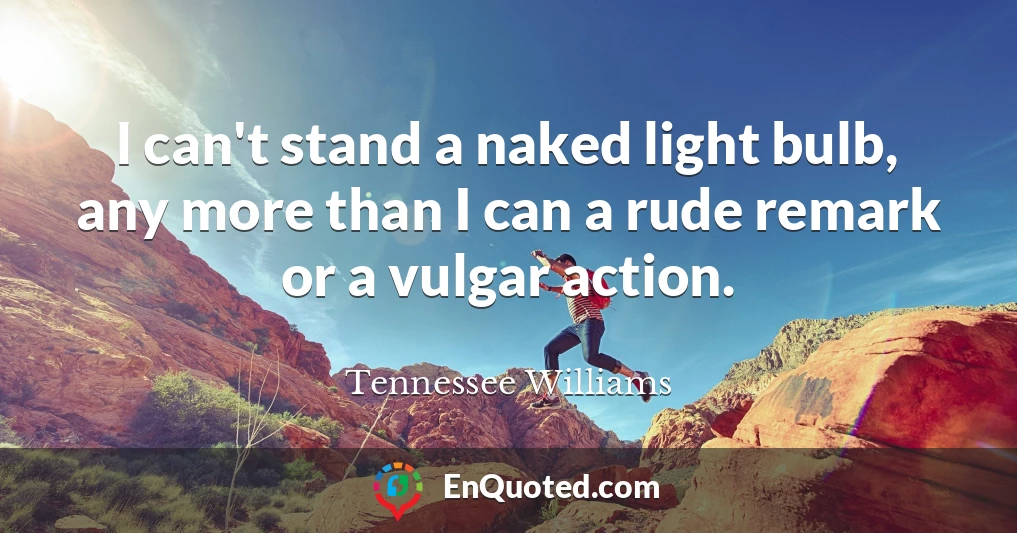 I can't stand a naked light bulb, any more than I can a rude remark or a vulgar action.