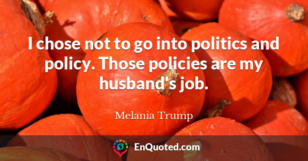 I chose not to go into politics and policy. Those policies are my husband's job.