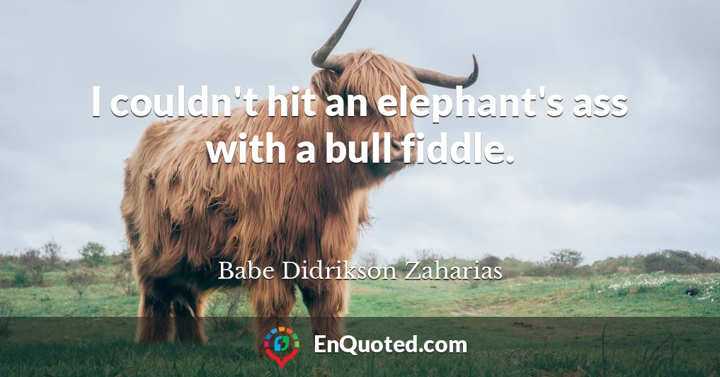 I couldn't hit an elephant's ass with a bull fiddle.