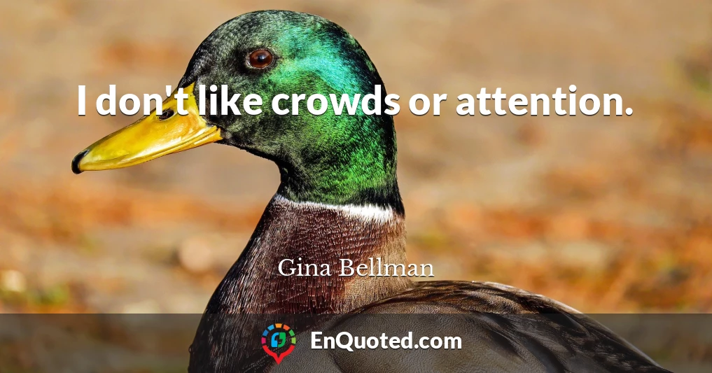 I don't like crowds or attention.