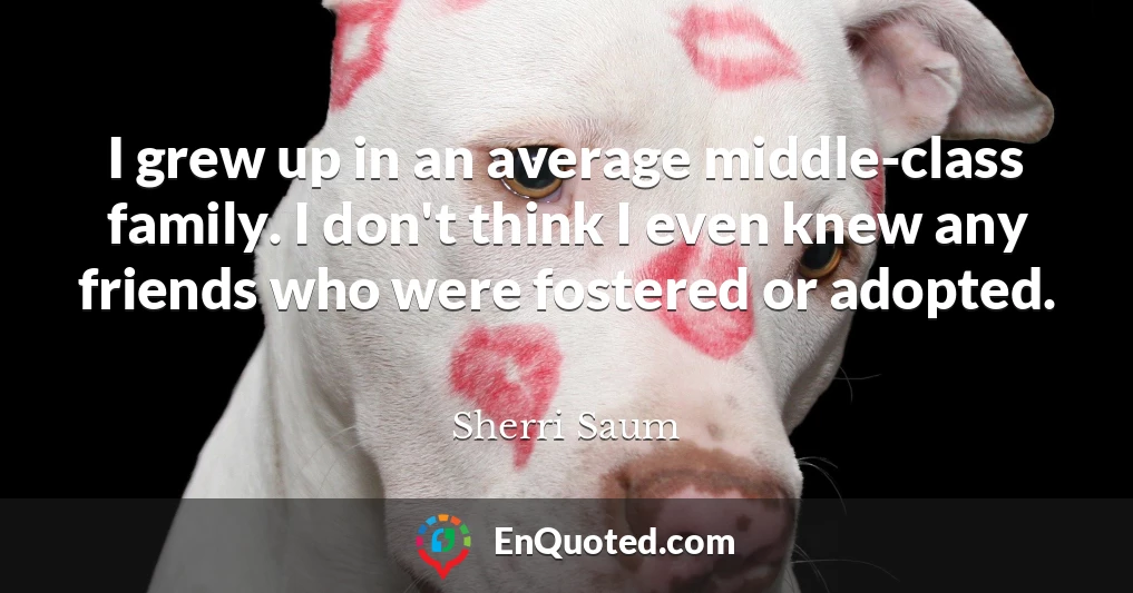 I grew up in an average middle-class family. I don't think I even knew any friends who were fostered or adopted.
