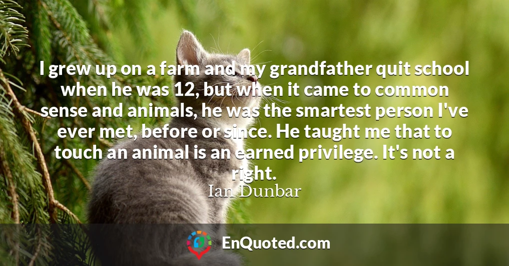 I grew up on a farm and my grandfather quit school when he was 12, but when it came to common sense and animals, he was the smartest person I've ever met, before or since. He taught me that to touch an animal is an earned privilege. It's not a right.