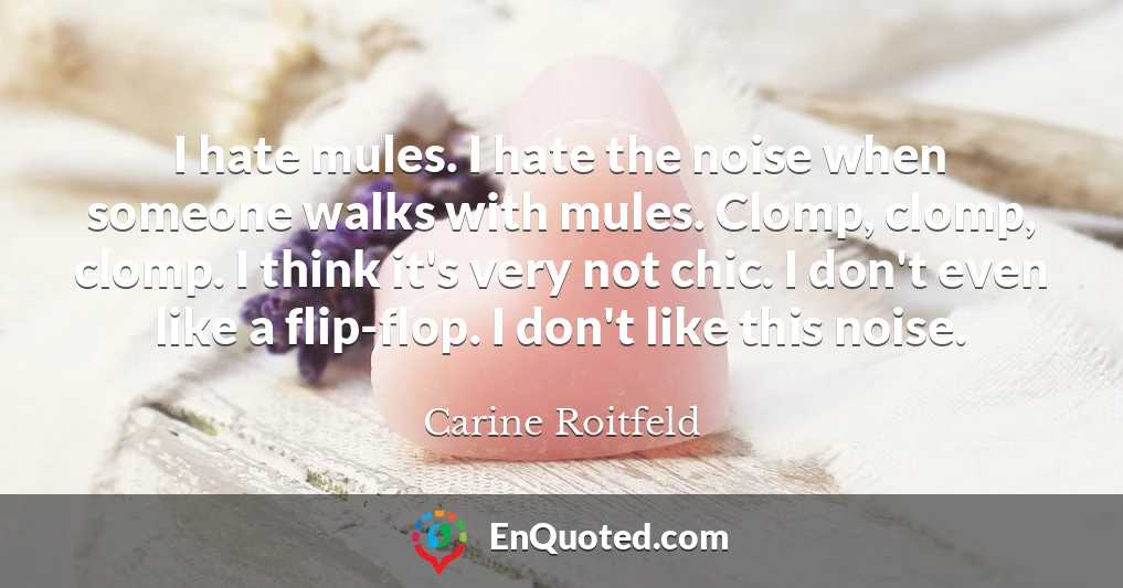 I hate mules. I hate the noise when someone walks with mules. Clomp, clomp, clomp. I think it's very not chic. I don't even like a flip-flop. I don't like this noise.
