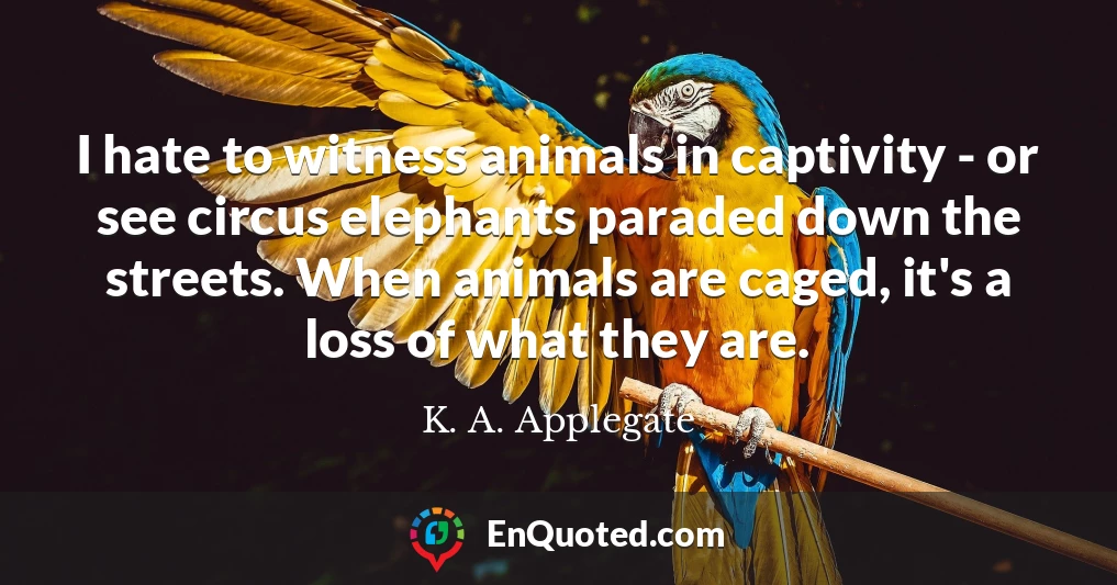 I hate to witness animals in captivity - or see circus elephants paraded down the streets. When animals are caged, it's a loss of what they are.