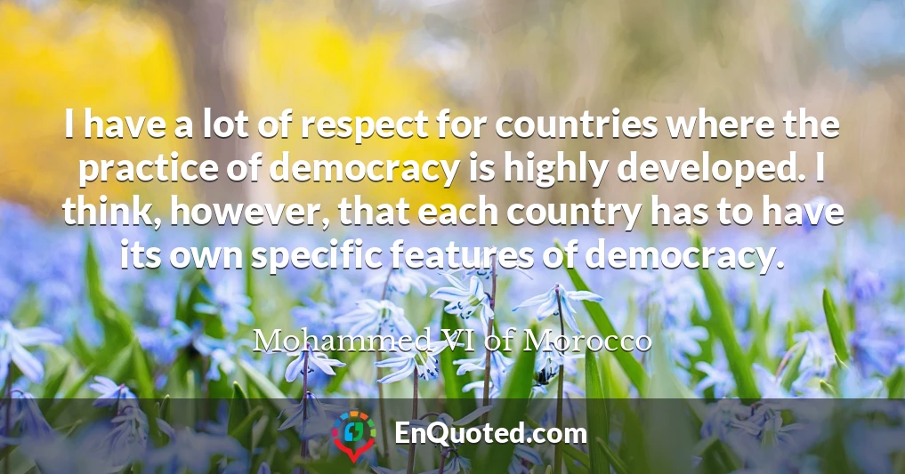 I have a lot of respect for countries where the practice of democracy is highly developed. I think, however, that each country has to have its own specific features of democracy.