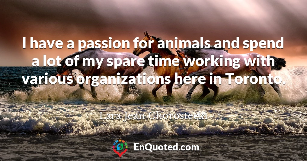 I have a passion for animals and spend a lot of my spare time working with various organizations here in Toronto.