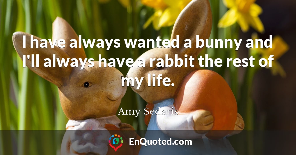 I have always wanted a bunny and I'll always have a rabbit the rest of my life.