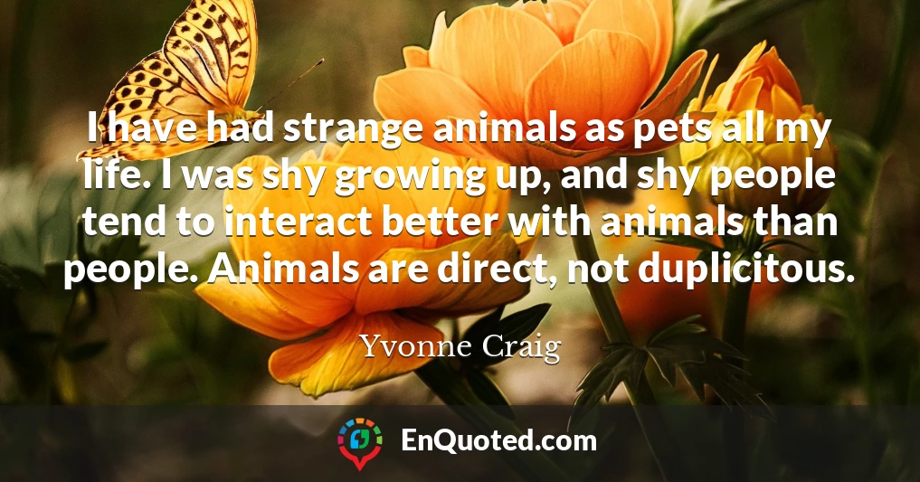 I have had strange animals as pets all my life. I was shy growing up, and shy people tend to interact better with animals than people. Animals are direct, not duplicitous.
