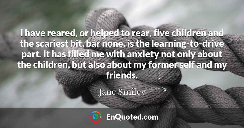 I have reared, or helped to rear, five children and the scariest bit, bar none, is the learning-to-drive part. It has filled me with anxiety not only about the children, but also about my former self and my friends.
