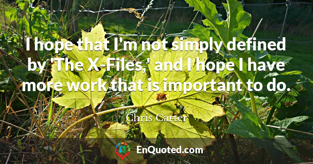 I hope that I'm not simply defined by 'The X-Files,' and I hope I have more work that is important to do. I hope that I'm not simply defined by 'The X-Files,' and I hope I have more work that is important to do.