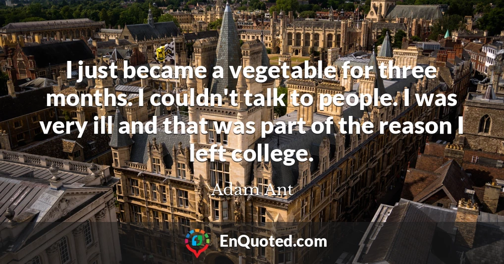 I just became a vegetable for three months. I couldn't talk to people. I was very ill and that was part of the reason I left college. I just became a vegetable for three months. I couldn't talk to people. I was very ill and that was part of the reason I left college.