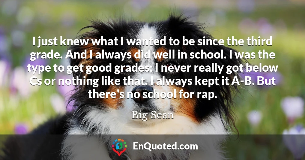 I just knew what I wanted to be since the third grade. And I always did well in school. I was the type to get good grades; I never really got below Cs or nothing like that. I always kept it A-B. But there's no school for rap. I just knew what I wanted to be since the third grade. And I always did well in school. I was the type to get good grades; I never really got below Cs or nothing like that. I always kept it A-B. But there's no school for rap.