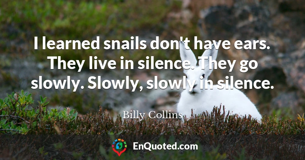 I learned snails don't have ears. They live in silence. They go slowly. Slowly, slowly in silence.