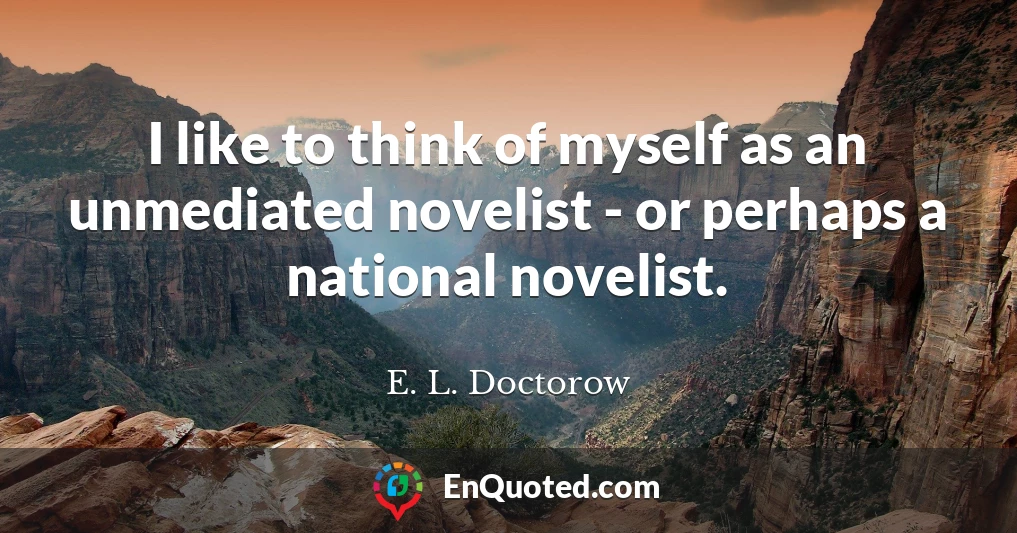 I like to think of myself as an unmediated novelist - or perhaps a national novelist.