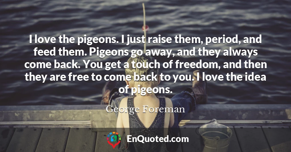 I love the pigeons. I just raise them, period, and feed them. Pigeons go away, and they always come back. You get a touch of freedom, and then they are free to come back to you. I love the idea of pigeons.